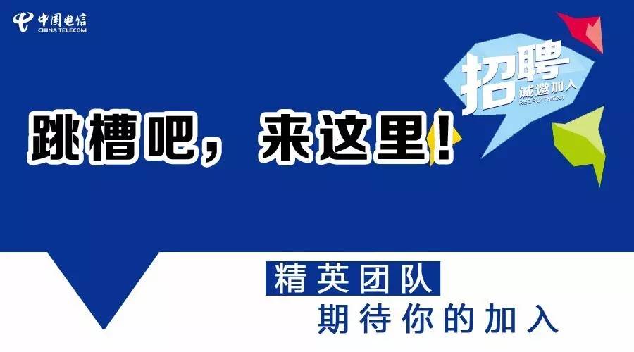 莘县信息港最新招聘信息全面解析